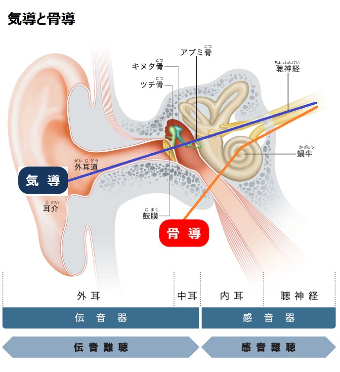 気骨導