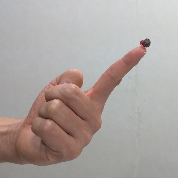 IIC補聴器の画像