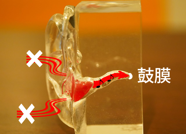 耳の穴とイヤモールドで隙間がしっかり塞がる様子。