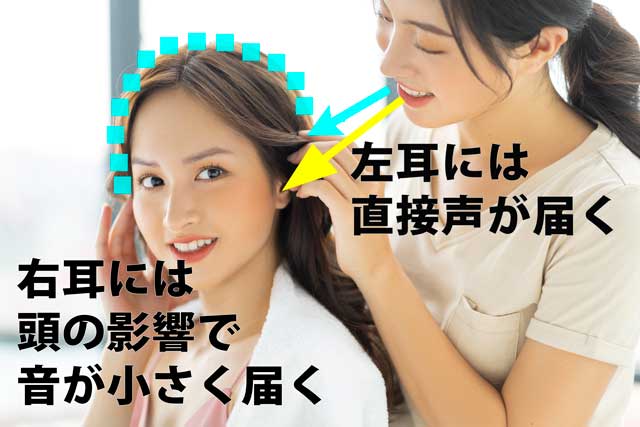左耳が突発性難聴の場合、右耳だけで聞くので声・音が小さくなり聞こえにくい。