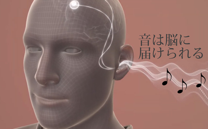 一人ひとり違う音が脳に届きます。